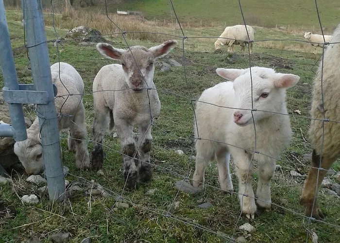 Apartamento Le Bon Air Est Dans Le Pre Champagnac (Auvergne)