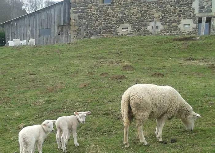 Le Bon Air Est Dans Le Pre Champagnac (Auvergne)